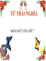 Bài giảng ngữ văn 7 bài 10 từ trái nghĩa 