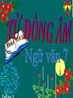 Bài giảng ngữ văn 7 bài 11 từ đồng âm 2 