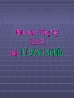 Bài giảng ngữ văn 7 bài 9 từ đồng nghĩa 17 