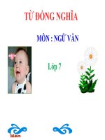 Bài giảng ngữ văn 7 bài 9 từ đồng nghĩa 14 