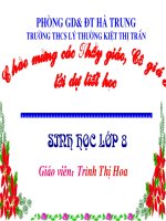 Bài giảng sinh học 8 tiêu chuẩn ăn uống và nguyên tắc lập khẩu phần (16) 