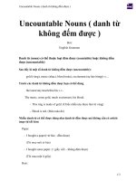 Uncountable nouns ( danh từ không đếm được ) 