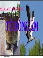 Bài giảng ngữ văn 7 bài 11 từ đồng âm 9 