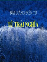 Bài giảng ngữ văn 7 bài 10 từ trái nghĩa 10 