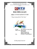 CĂN BẢN KINH TẾ VĨ MÔ tăng trưởng kinh tế Việt Nam