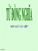Bài giảng ngữ văn 7 bài 9 từ đồng nghĩa 12 