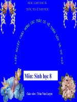 Bài giảng sinh học 8 tiêu chuẩn ăn uống và nguyên tắc lập khẩu phần (12) 