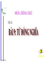 Bài giảng ngữ văn 7 bài 9 từ đồng nghĩa 15 
