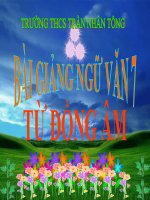 Bài giảng ngữ văn 7 bài 11 từ đồng âm 12 