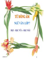 Bài giảng ngữ văn 7 bài 11 từ đồng âm 11 