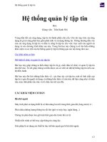 Hệ thống quản lý tập tin 