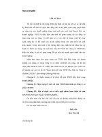 Một sổ nhận xét và kiến nghị nhằm hoàn thiện kế toán TSCĐ hữu hình tại công ty cố phần LIXEHA 