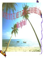 Bài giảng ngữ văn 7 bài 11 các yếu tố tự sự, miêu tả trong văn bản biểu cảm 3 