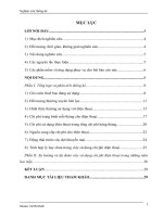 nghiên cứu thống kê chi phí sử dụng điện thoại hàng tháng của sinh viên đại học ngoại thương niên khoá 2010 2011 