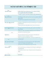 thành ngữ tiếng anh về động vật english idioms