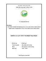 ỨNG PHÓ VỚI BIẾN ĐỔI KHÍ HẬU DỰA VÀO CỘNG ĐỒNG TRONG PHÁT TRIỂN NÔNG NGHIỆP BỀN VỮNG VÙNG ĐÔNG BẰNG SÔNG HỒNG