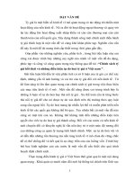 Chính sách tỷ giá hối đoái và những điều kiện tự do hoá tỷ giá ở việt nam  