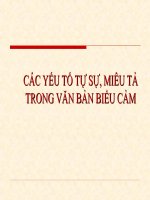 Bài giảng ngữ văn 7 bài 11 các yếu tố tự sự, miêu tả trong văn bản biểu cảm 9 