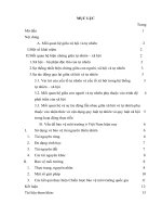 Quan hệ giữa xã hội với tự nhiên và vấn đề bảo vệ môi trường ở Việt Nam hiện nay