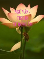 Bài giảng ngữ văn 7 bài 11 từ đồng âm 15 