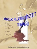 Bài giảng ngữ văn 7 bài 11 từ đồng âm 13 