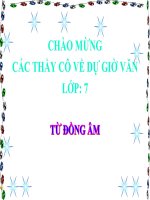 Bài giảng ngữ văn 7 bài 11 từ đồng âm 20 