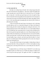 NGHIÊN CỨU ÁP DỤNG SẢN XUẤT SẠCH HƠN CHO XÍ NGHIỆP CHẾ BIẾN CAO SU 304 THUỘC CÔNG TY TNHH MTV CAO SU BÌNH LONG