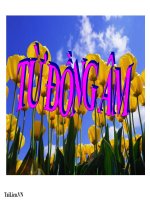 Bài giảng ngữ văn 7 bài 11 từ đồng âm 3 