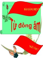 Bài giảng ngữ văn 7 bài 11 từ đồng âm 6 