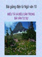 Bài giảng ngữ văn 10 tuần 7 miêu tả và biểu cảm trong văn tự sự 5 