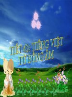 Bài giảng ngữ văn 7 bài 11 từ đồng âm 21 