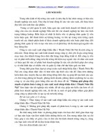 Những giải pháp đẩymạnh cổ phần hoá ở công ty sản xuất xuất nhập khẩu đầu tư Thanh Niên Hà Nội