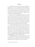 Hoạch định chiến lược sản phẩm trên thị trường nội địa tại công ty cổ phần may 10 