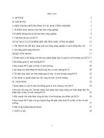 thực trạng ô nhiễm tại các KCN, tìm hiểu nguyên nhân và đưa ra một số giải pháp chính phủ cho việc cải thiên môi trường KCN