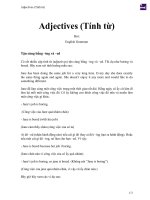 Adjectives (tính từ) 