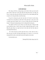 phân tích những tổn hại trong thị trường độc quyền hoàn toàn 