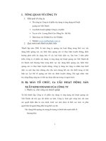 Báo cảo thực tập tông hợp công ty cố phần xây dựng và ứng dụng mỹ thuật 