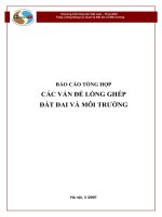 BÁO CÁO TỔNG HỢP CÁC VẤN ĐỀ LỒNG GHÉP ĐẤT ĐAI VÀ MÔI TRƯỜNG