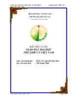 Bài tiểu luận giáo dục đại học thế giới và việt nam