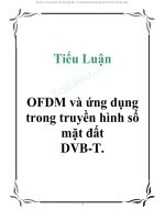 Tiểu Luận OFDM và ứng dụng trong truyền hình số mặt đất DVBT.