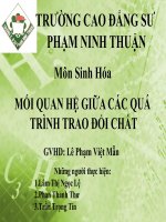 MỐI QUAN hệ giữa các QUÁ TRÌNH TRAO