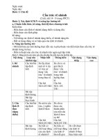 giáo án dạy theo chủ đề cấu trúc rẽ nhánh