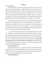 Sáng kiến phương pháp bồi dưỡng đội tuyển học sinh giỏi môn địa lí ở trường THPT