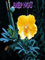 Bài giảng Ngữ văn 7 bài 13 Điệp ngữ 5