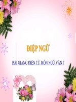 Bài giảng Ngữ văn 7 bài 13 Điệp ngữ 8