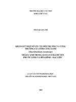 KHẢO SÁT MỘT SỐ YẾU TỐ MÔI TRƯỜNG VÀ TĂNG TRƯỞNG CỦA TÔM CÀNG XANH (Macrobrachium rosenbergii ) THÂM CANH TRONG AO Đ ẤT Ở HAI HUYỆN PHƯỚC LONG VÀ HÒA BÌNH – BẠC LIÊU