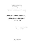 Đề tài những hạn chế khi triển khai dịch vụ ngân hàng điện tử tại việt nam 