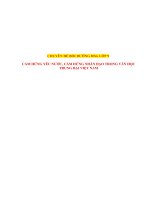 CẢM HỨNG YÊU NƯỚC, CẢM HỨNG NHÂN ĐẠO TRONG VĂN HỌC TRUNG ĐẠI VIỆT NAM