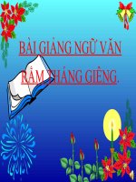 Bài giảng ngữ văn 7 bài 12 rằm tháng giêng (nguyên tiêu) 2 
