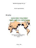 Bài giảng giáo dục đại học thế giới và việt nam